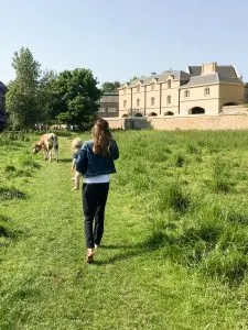 Meadows in Cambridge, England