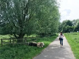 Stourbridge Common in Cambridge, England