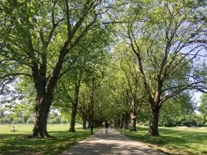 Jesus Green in Cambridge, England