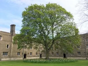 Jesus College at Cambridge University, England | Each college has it's own deep history, unique architecture, and stunning grounds and gardens to explore.