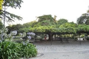 Jardim do Pr&iacute;ncipe Real in Lisbon, Portugal