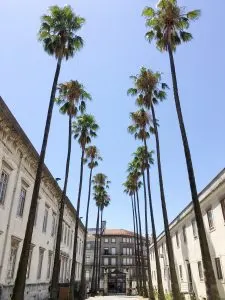 Jardim Bot&acirc;nico da Universidade de Lisboa