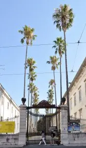 Jardim Bot&acirc;nico da Universidade de Lisboa