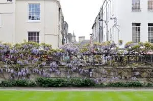 Sidney Sussex at Cambridge University, England | Each college has it's own deep history, unique architecture, and stunning grounds and gardens to explore.