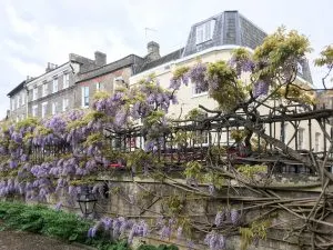 Sidney Sussex at Cambridge University, England | Each college has it's own deep history, unique architecture, and stunning grounds and gardens to explore.