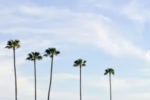 The Ultimate LA Bucket List | 101 Things to do in Los Angeles. All of the best Los Angeles has to offer, convenient organized by neighborhood!