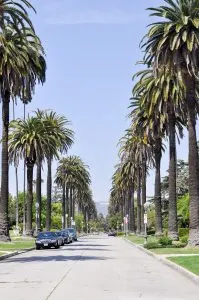 A Weekend Guide to Los Angeles