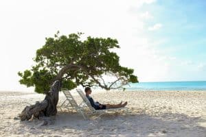Divi Divi Trees on Eagle Beach, Aruba | Three Days in Aruba: Adventures Beyond the All-Inclusive