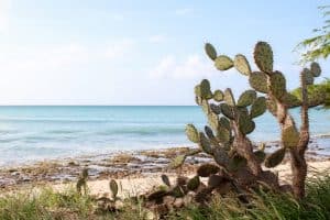 Eagle Beach, Aruba | Three Days in Aruba: Adventures Beyond the All-Inclusive