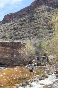 A Weekend Getaway to Tucson, Arizona | Where to stay, hike, play and eat in Tucson | Seven Falls Trail in Sabino Canyon