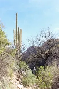 Seven Falls Trail in Sabino Canyon | Hiking in Tucson, Arizona