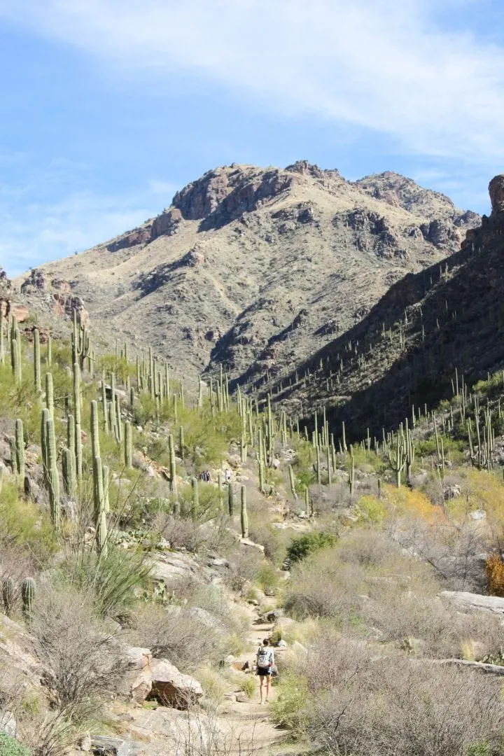 Seven Falls Trail in Sabino Canyon | Hiking in Tucson, Arizona