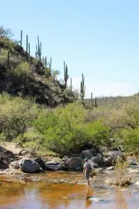 Seven Falls Trail in Sabino Canyon | Hiking in Tucson, Arizona