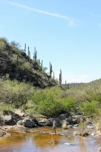 Seven Falls Trail in Sabino Canyon | Hiking in Tucson, Arizona