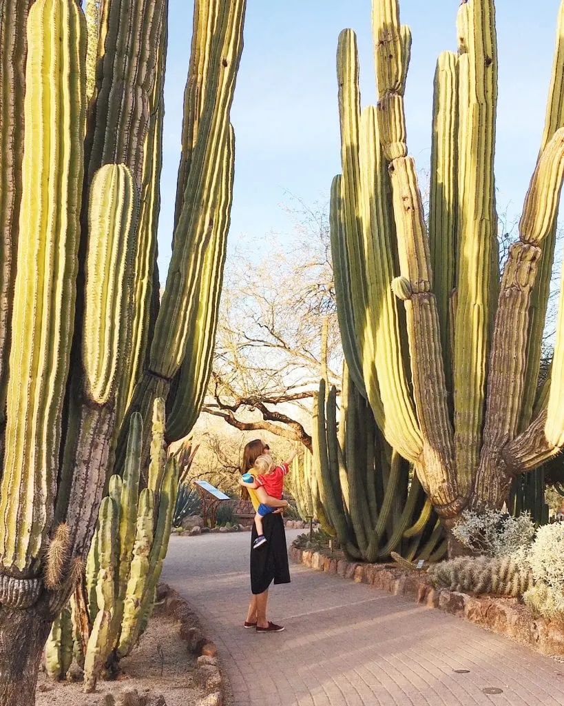 Arizona Bucket List: 101 Things to do in Arizona