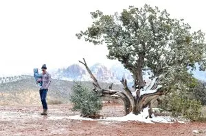 Arizona Bucket List: 101 Things to do in the Grand Canyon State