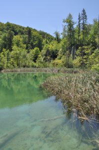 Visiting Plitvice Lakes National Park in Croatia: A One Day Itinerary
