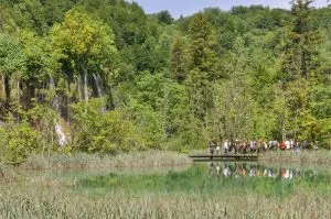 Visiting Plitvice Lakes National Park in Croatia: A One Day Itinerary