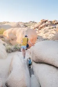 Summer Camping in Joshua Tree National Park, California