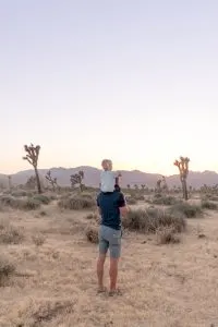 Summer Camping in Joshua Tree National Park, California