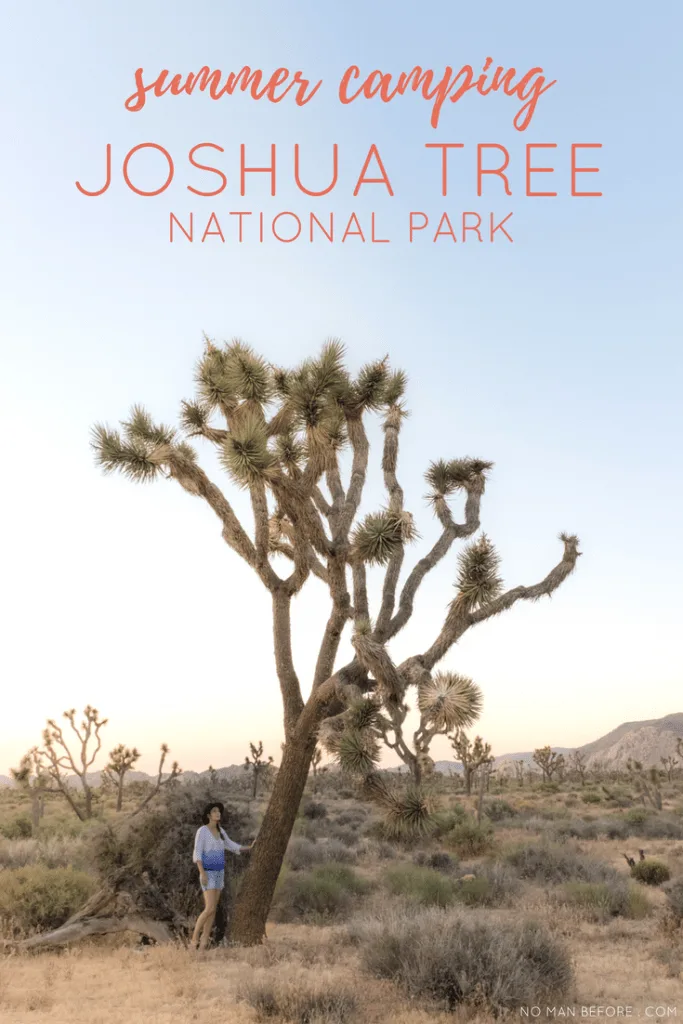 A Guide to Summer Camping in Joshua Tree National Park, California