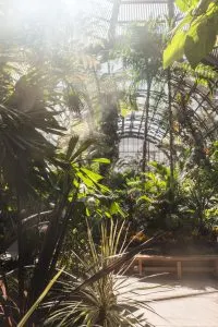 Best things to do in Downtown San Diego, California