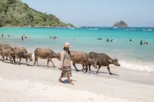 20 Photos to Inspire You to Visit Lombok | Selong Belanak Beach in Lombok, Indonesia