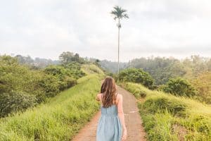 No Man Before x Free Adobe Lightroom Presets for Travel Photos | It's a Jungle Out There