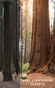 Free Adobe Lightroom Presets for Travel Photos