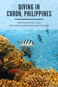 Diving in Coron, Philippines | Tips for Diving and Getting your PADI Open Water Diver Certification in Coron