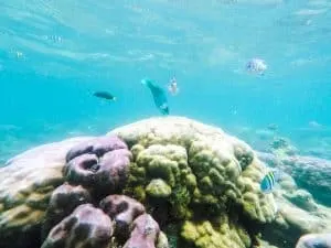 Diving in Coron, Philippines | Tips for Diving and Getting your PADI Open Water Diver Certification in Coron