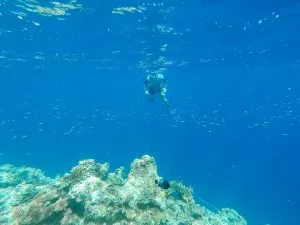 Diving in Coron, Philippines | Tips for Diving and Getting your PADI Open Water Diver Certification in Coron