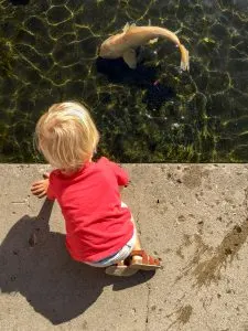 A Weekend Guide to Newport Beach, California | Things to do in Newport Beach