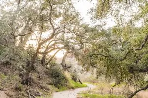 Hiking Red Rock Canyon Trail in Whiting Ranch Wilderness Park | Hike through Whiting Ranch Wilderness Park to find this unique red sandstone canyon that's right here in Southern California | Beautiful hikes in Orange County