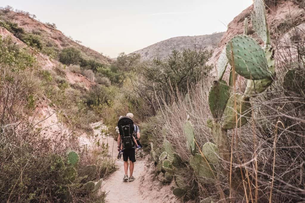 Hiking Red Rock Canyon Trail in Whiting Ranch Wilderness Park | Hike through Whiting Ranch Wilderness Park to find this unique red sandstone canyon that's right here in Southern California | Beautiful hikes in Orange County