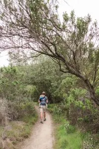 Exploring Southern California with Ergobaby: 5 kid-friendly hikes in Orange County | Ergobaby Omni 360 Cool Air Mesh