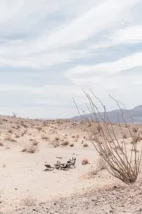 Dispersed Camping in Anza Borrego Desert State Park