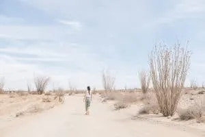 Anza Borrego Desert State Park