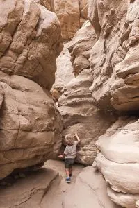 The Slot in Anza Borrego Desert State Park