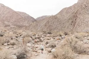 Borrego Canyon Hike in Anza-Borrego State Park
