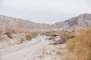 Hiking in Anza Borrego Desert State Park