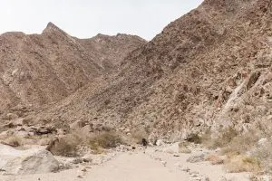 Borrego Canyon Hike in Anza-Borrego State Park