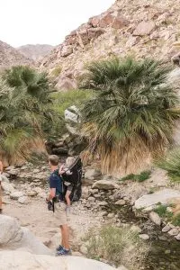 Borrego Canyon Hike in Anza-Borrego State Park