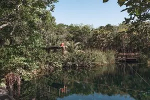 Cenote Cristal | Best cenotes near Tulum, Mexico
