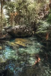 Swimming in Cenote Jardin del Eden near Tulum Mexico