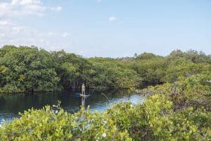 Stand up Paddle boarding at Nativus Glamping Tulum Mexico
