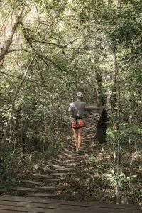 Ziplining through the Jungle in Tulum | Sea Turtles, Cenotes and Ziplining: A High-Adventure Tulum Excursion with Edventure Tours Tulum