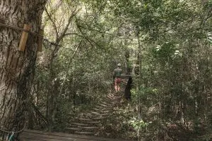 Ziplining through the Jungle in Tulum | Sea Turtles, Cenotes and Ziplining: A High-Adventure Tulum Excursion with Edventure Tours Tulum