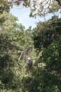 Ziplining through the Jungle in Tulum | Sea Turtles, Cenotes and Ziplining: A High-Adventure Tulum Excursion with Edventure Tours Tulum