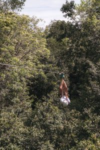 Ziplining through the Jungle in Tulum | Sea Turtles, Cenotes and Ziplining: A High-Adventure Tulum Excursion with Edventure Tours Tulum